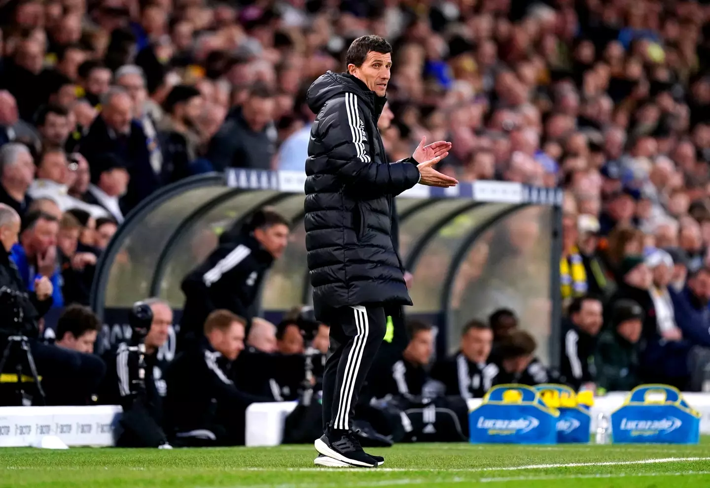 Javi Gracia on the touchline. Image: Alamy