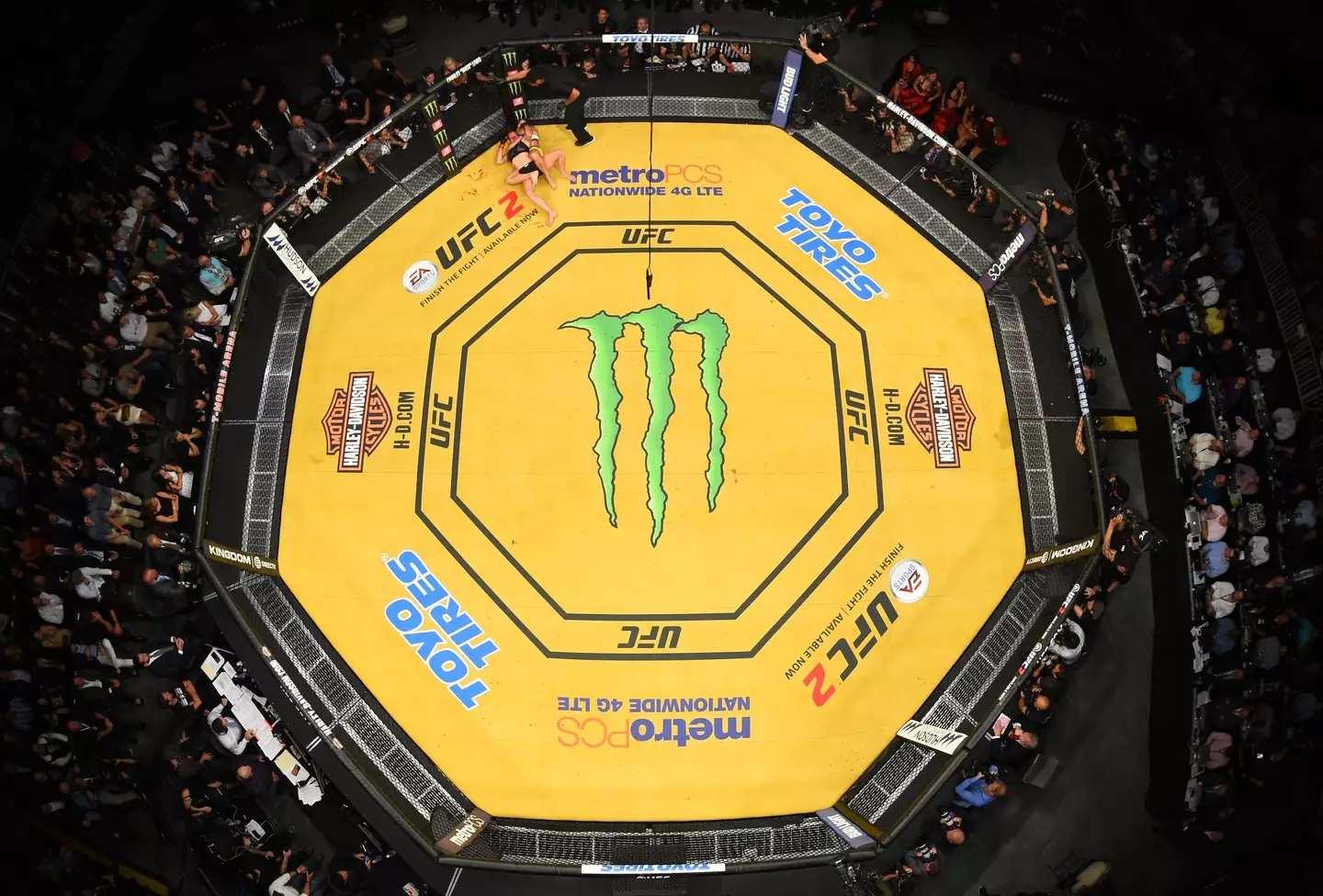 The Octagon canvas at UFC 200. Image: Getty