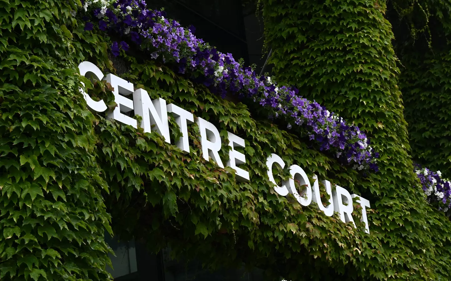 This year's Wimbledon is well underway. Image: Getty