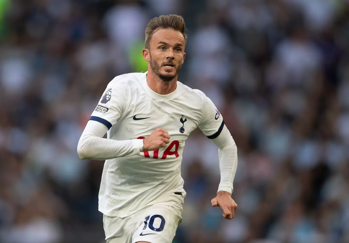 James Maddison has started life positively at Spurs. (