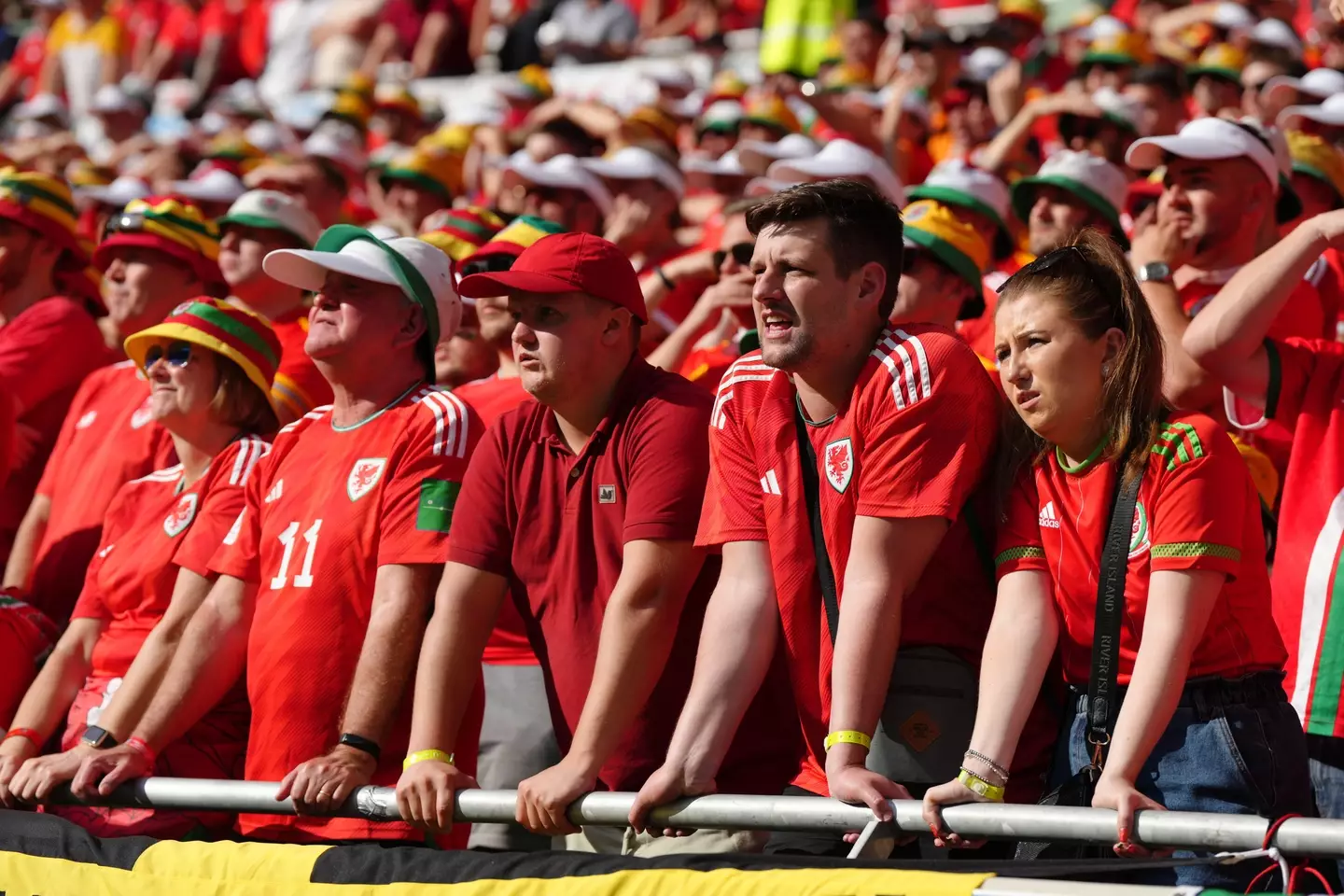 Wales fans look on during their loss to Iran in the World Cup. Image: Alamy