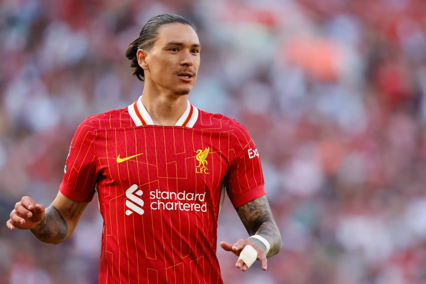 Darwin Nunez in action for Liverpool. Image: Getty