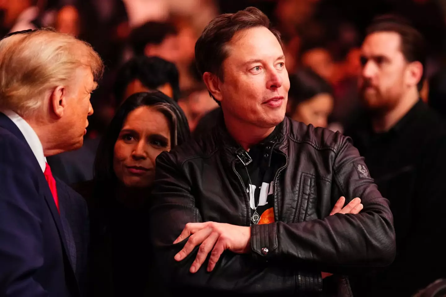 Musk has regularly been seen attending sporting events such as the UFC. (Image: Getty)