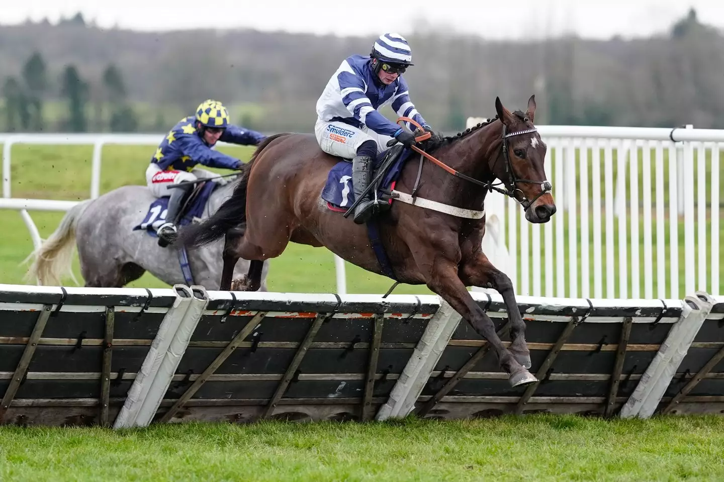 Wendigo was part of the huge winning bet. Image: Getty
