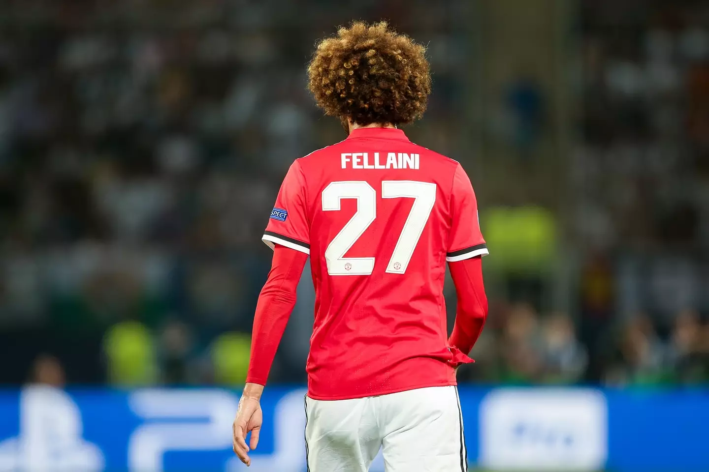 Will Weghorst be more successful than Fellaini. Image: Alamy