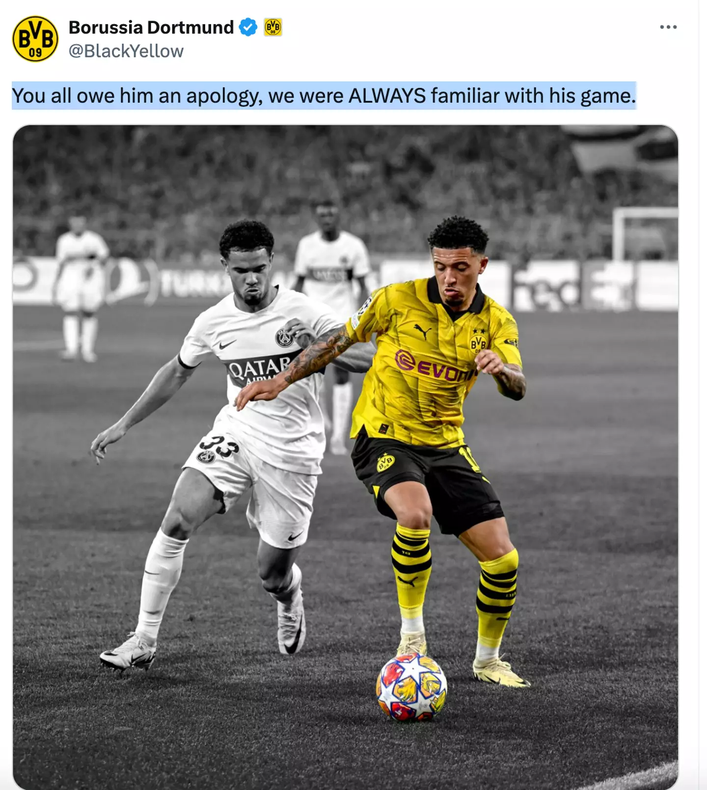 Image: Borussia Dortmund