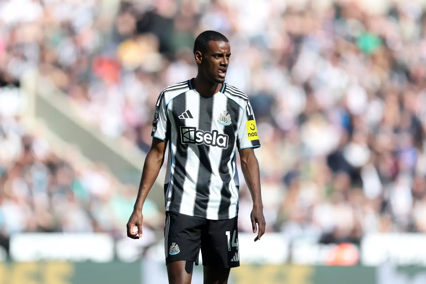 Newcastle's Alexander Isak has been strongly linked with a move to Liverpool. (Image: Getty)