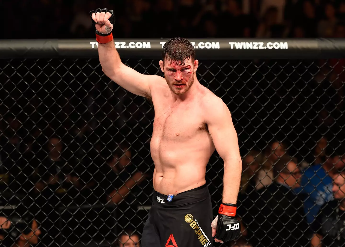 Bisping was a UFC champion (Josh Hedges/Zuffa LLC/Zuffa LLC via Getty Images)