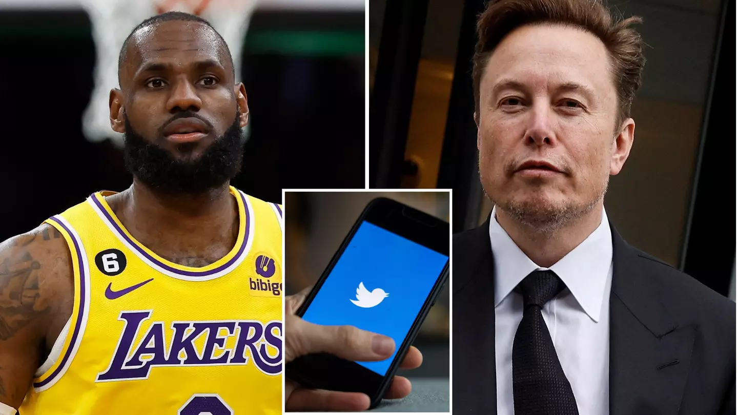 Elon Musk reveals he is 'personally paying' for only THREE Twitter Blue memberships - one of them is for LeBron James