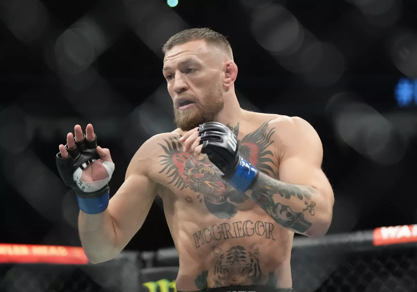 Conor McGregor hasn't fought in the UFC since 2021. Image: Getty