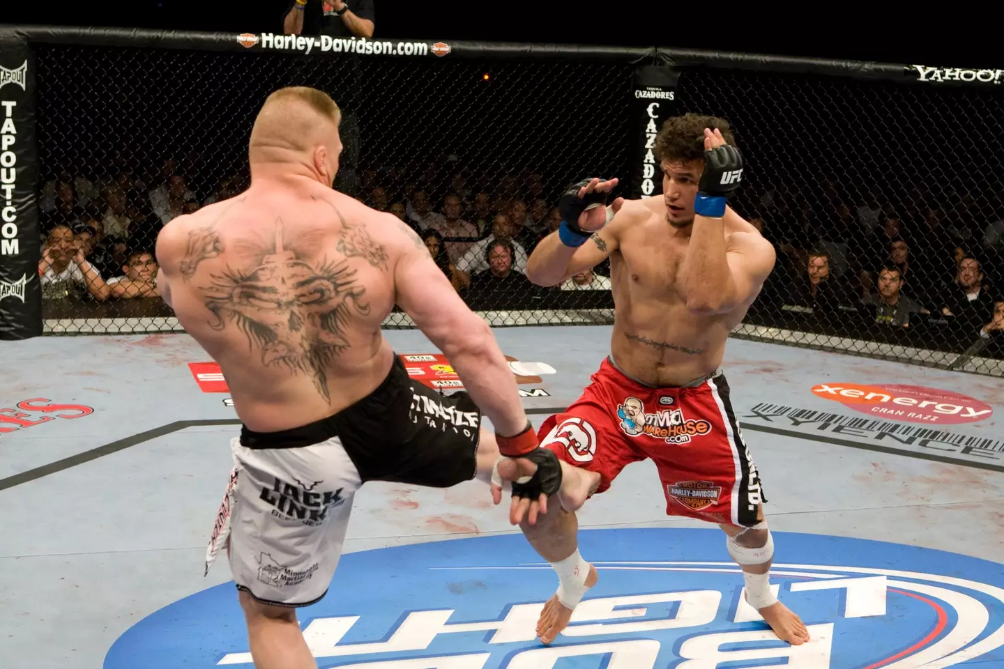 Brock Lesnar took on Frank Mir at UFC 100 (Getty)