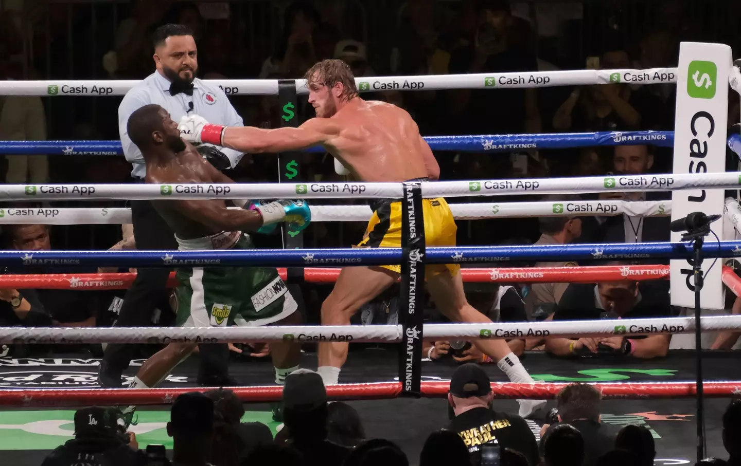 Logan Paul fought Floyd Mayweather in June of last year (Image: PA)