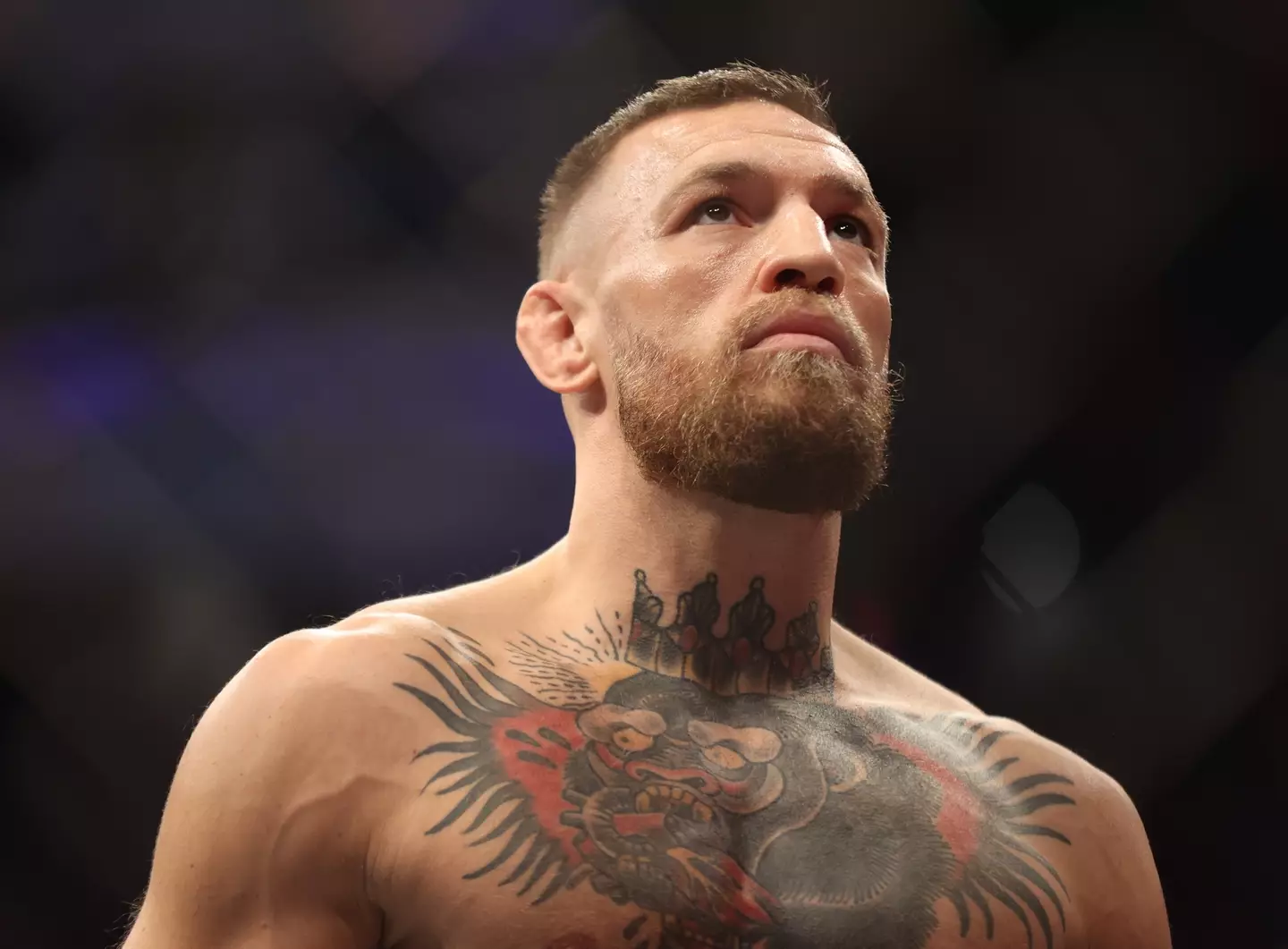 Conor McGregor hasn't fought since July 2021. Image: Getty