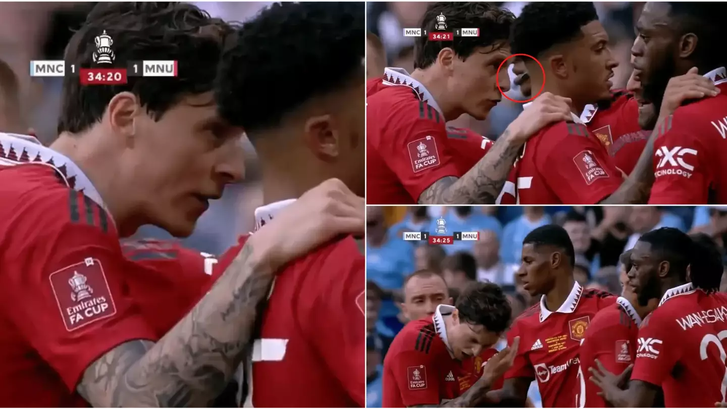 Victor Lindelof hit in the face by missile during Manchester United's equaliser celebrations in FA Cup final