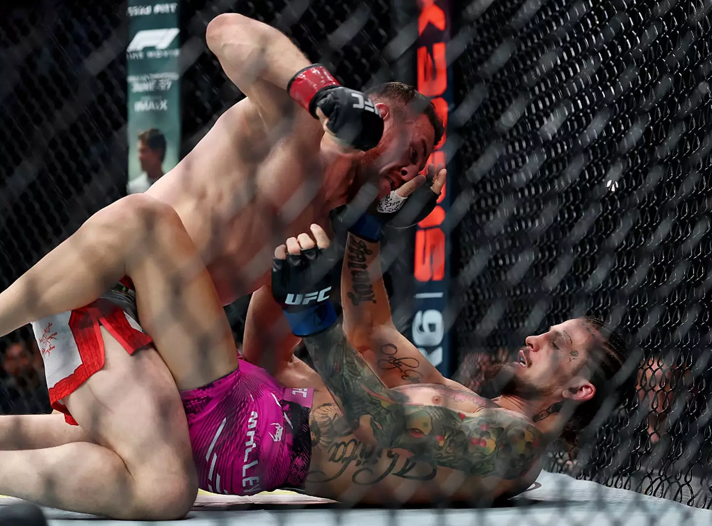 Dvalishvili defeated former champion Sean O'Malley via Submission in his last fight. (Image: Elsa/Getty Images)