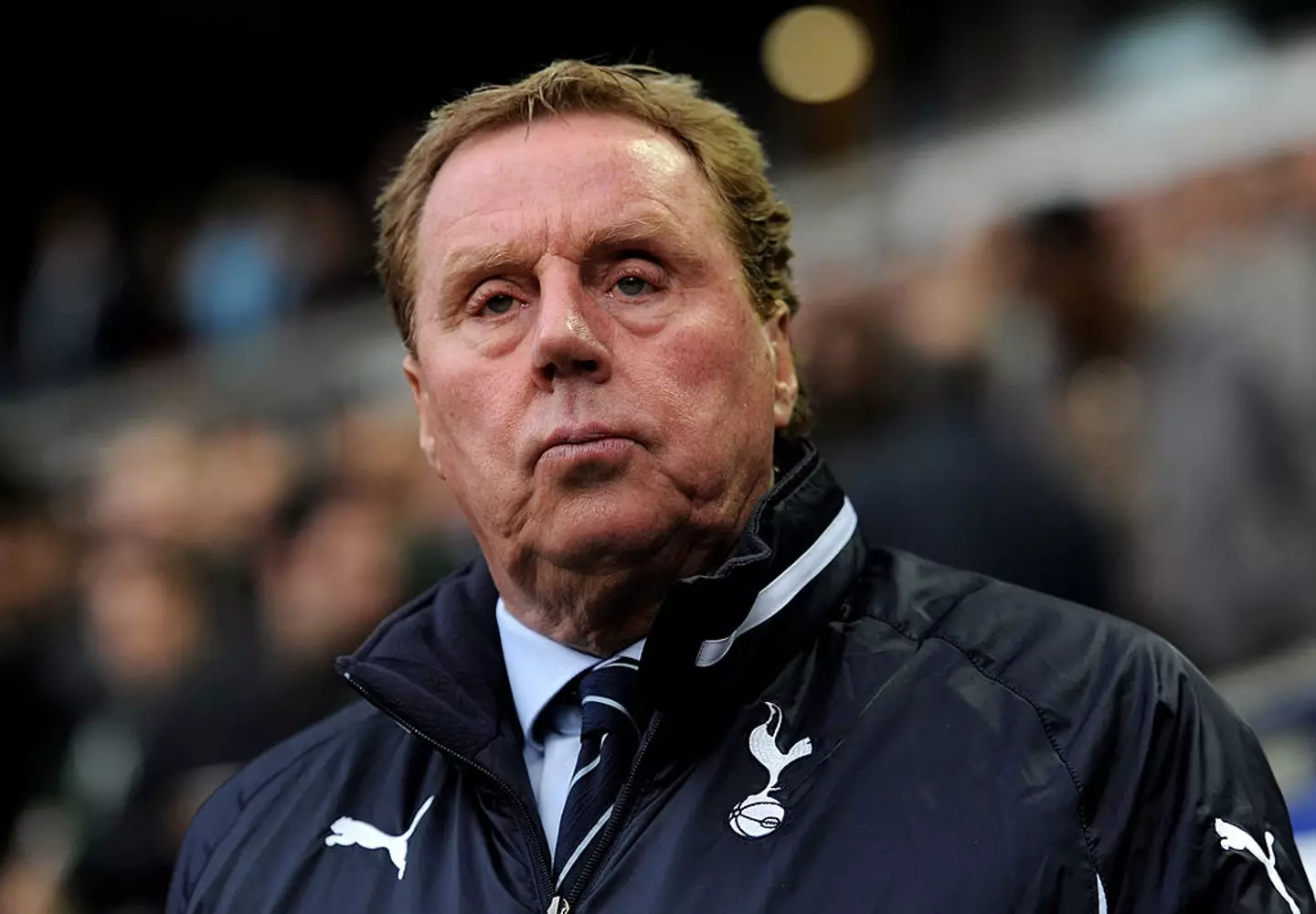 Harry Redknapp was Spurs manager between 2008 and 2012 (Credit:Getty)