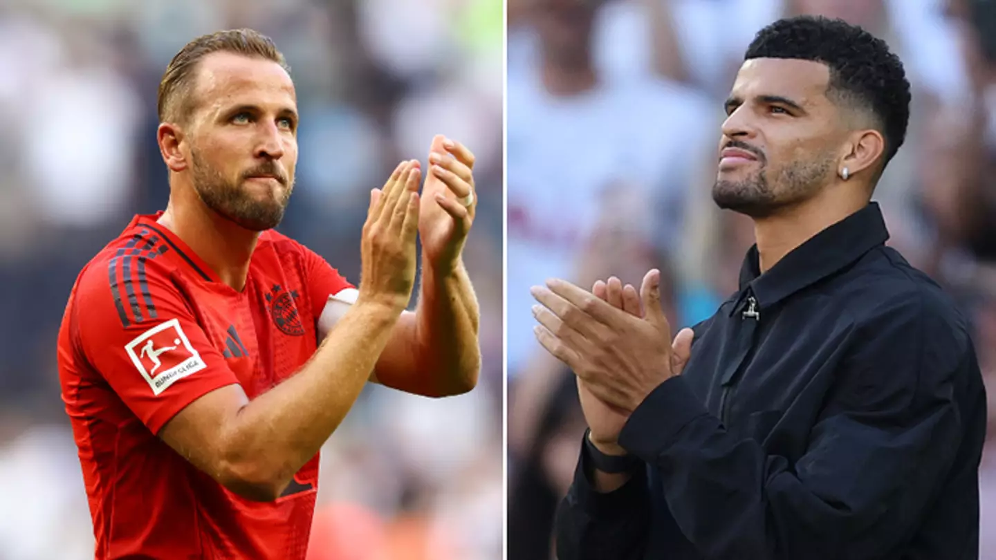 What Harry Kane told Dominic Solanke in dressing room as he makes his feelings clear on new Spurs forward