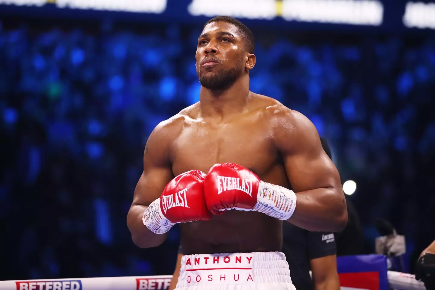 Joshua is looking to return to boxing's summit (Getty)