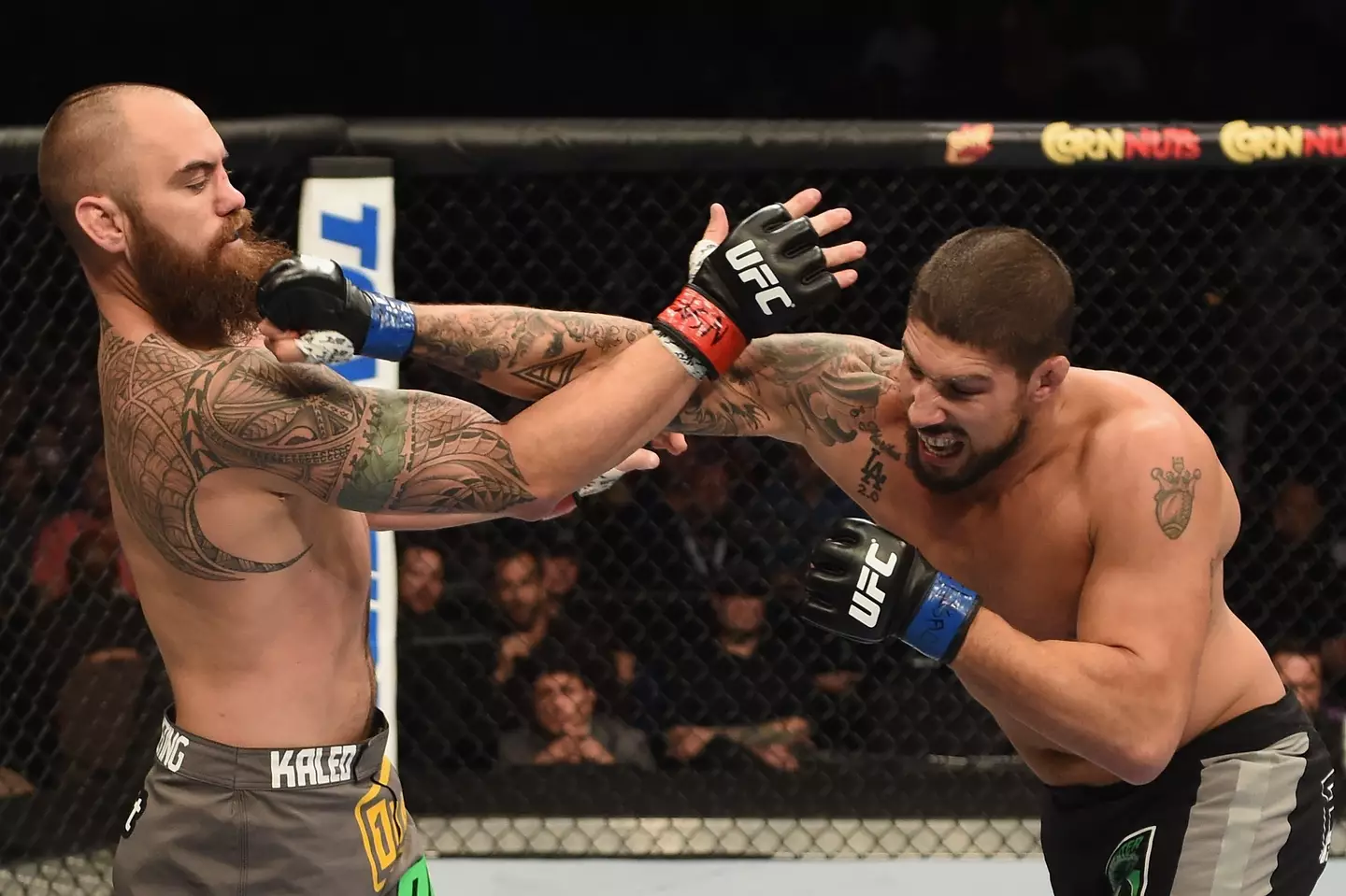Brendan Schaub punches Travis Browne (Image: Getty)