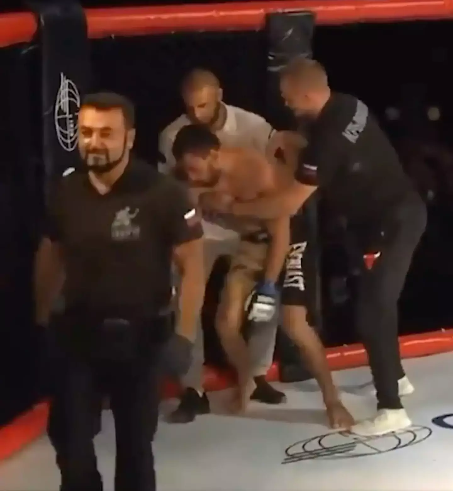 The fighter was left briefly unconscious by the referee (Image: Twitter)