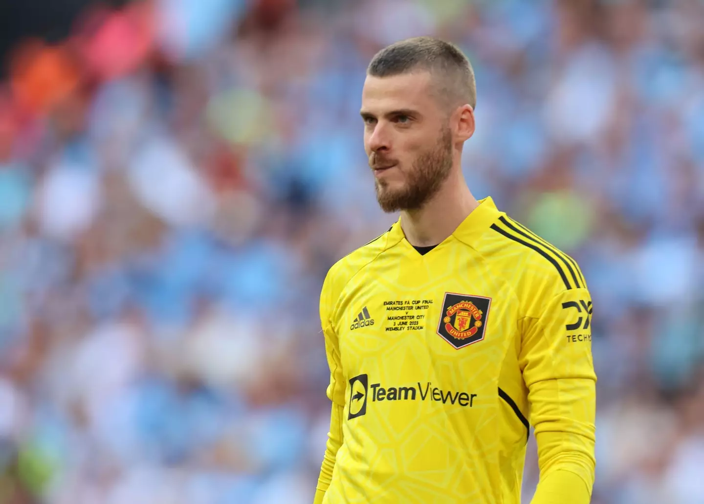 David de Gea in action for Manchester United. Image: Alamy