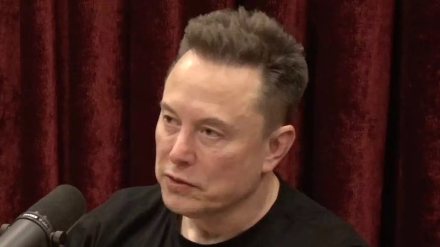 Elon Musk Reveals True Feelings on Donald Trump in New Joe Rogan Episode