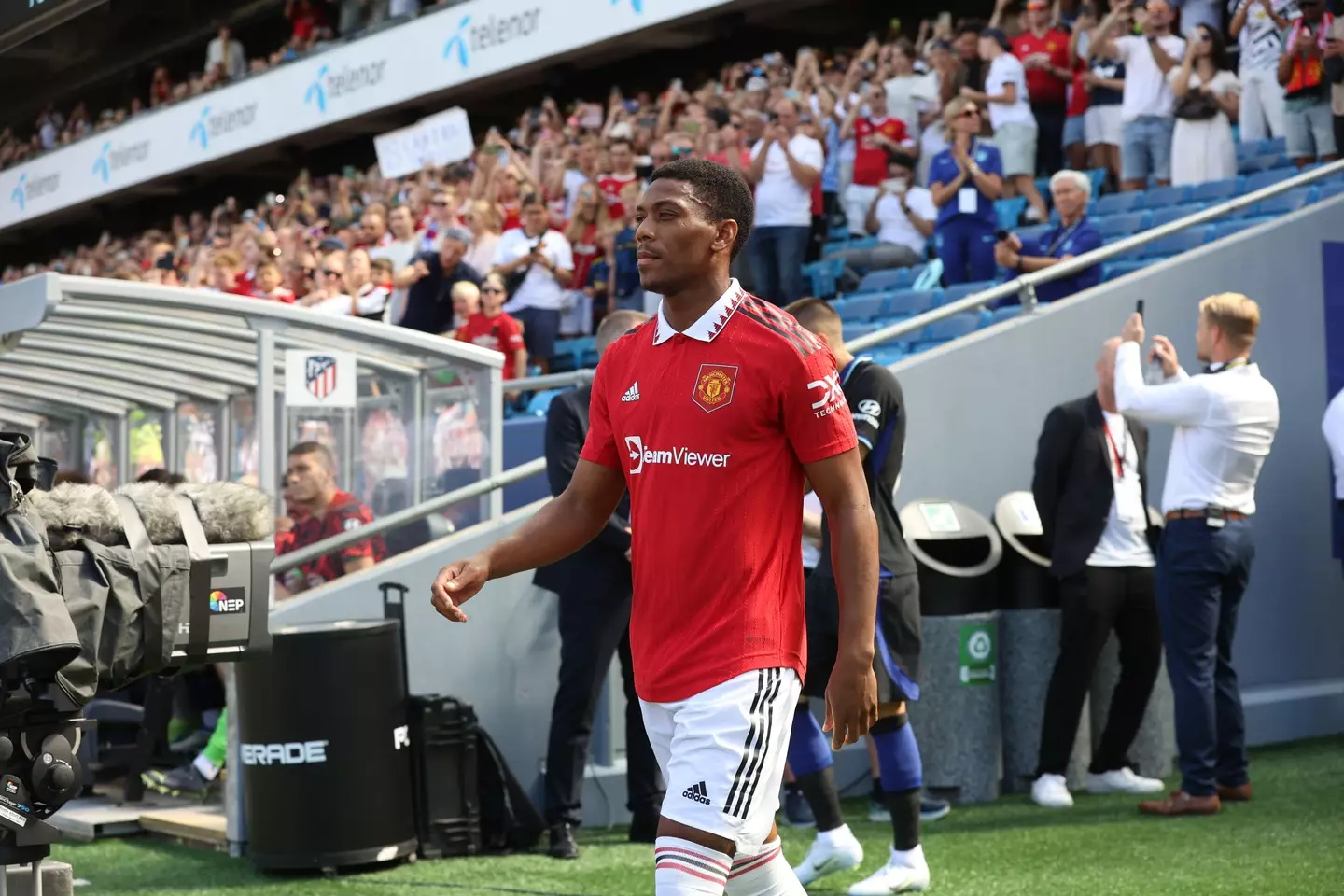 Anthony Martial got injured following a positive pre-season (Alamy)