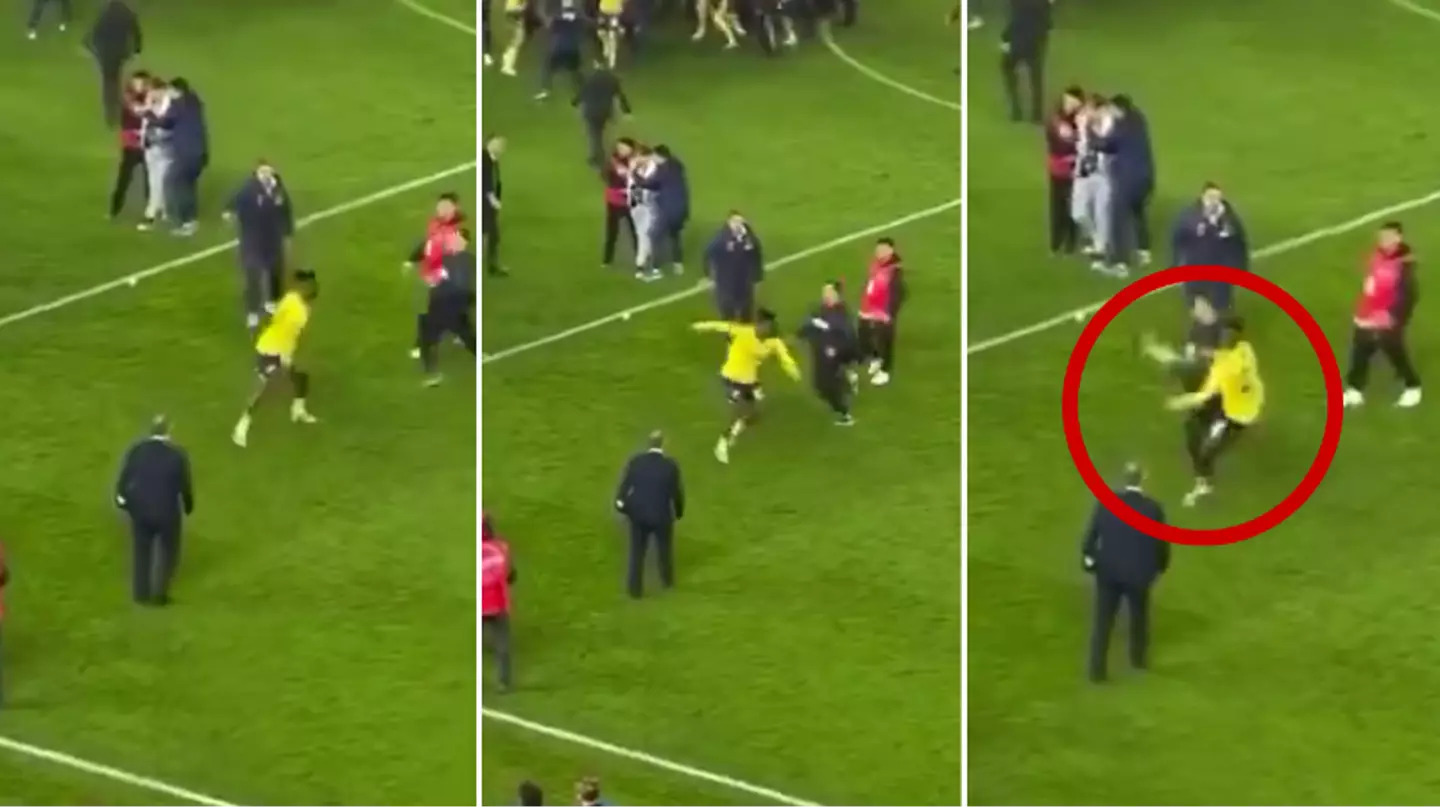Michy Batshuayi just tried to do a spinning high kick on a fan as match ends in chaos