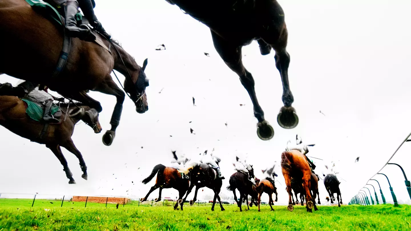 Betfair Ambassador Alan Shearer is backing Shearer on Gold Cup day