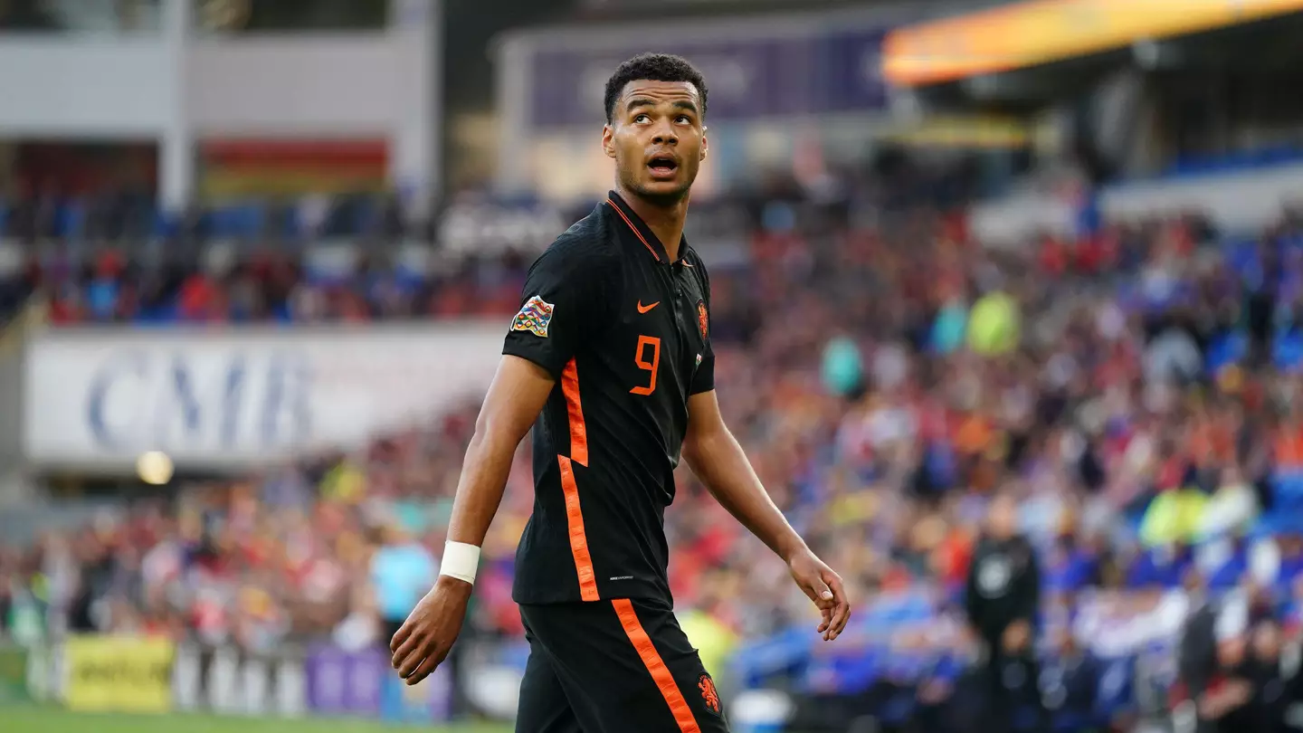 Cody Gakpo against Wales for the Netherlands. (Alamy)