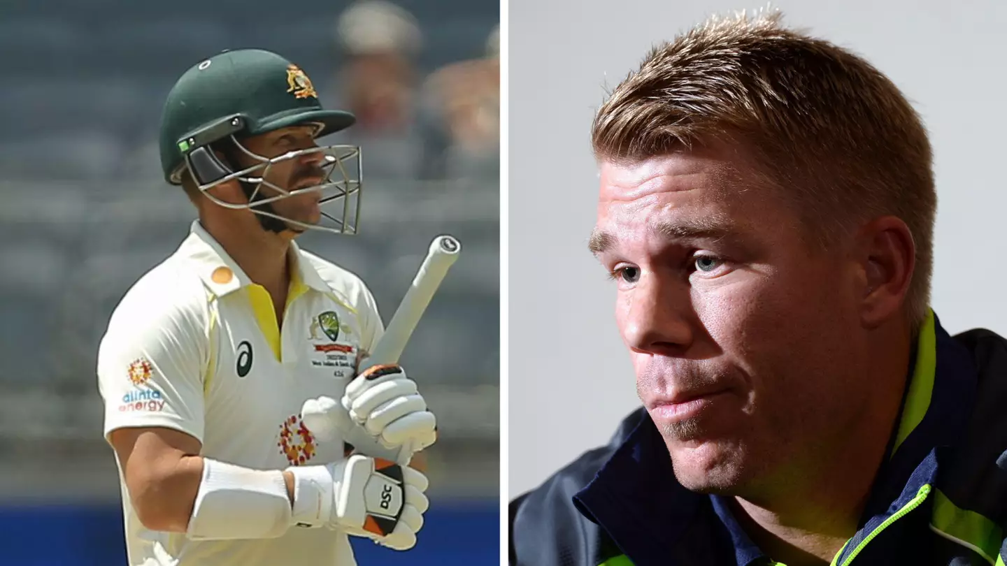 David Warner claims leadership review panel wanted to make him 'the washing machine for cricket's dirty laundry'