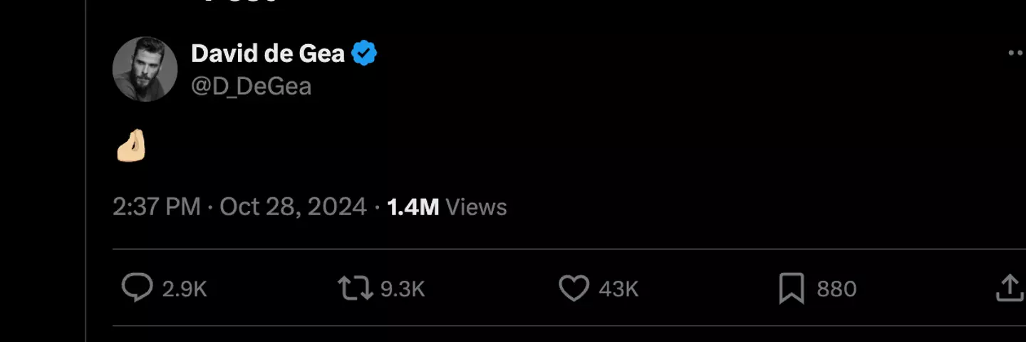 David de Gea's cryptic social media post (Image: X/D_DeGea)