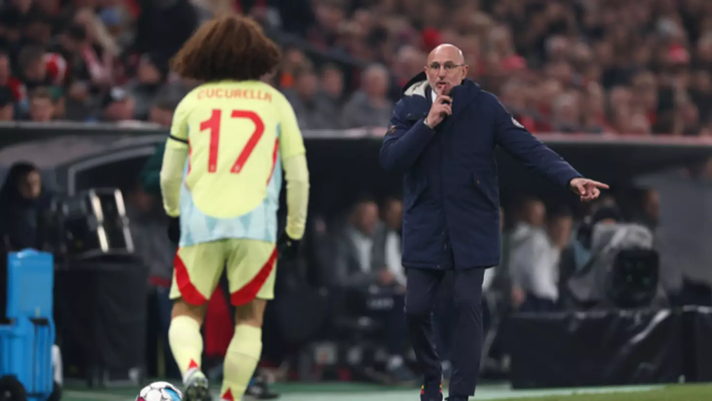 Spain boss Luis de la Fuente has had his say on Germany fans booing Marc Cucurella in Nations League
