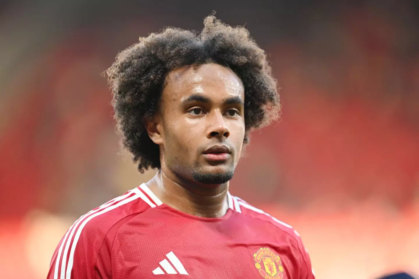 Joshua Zirkzee is in poor form (Credit:Getty)