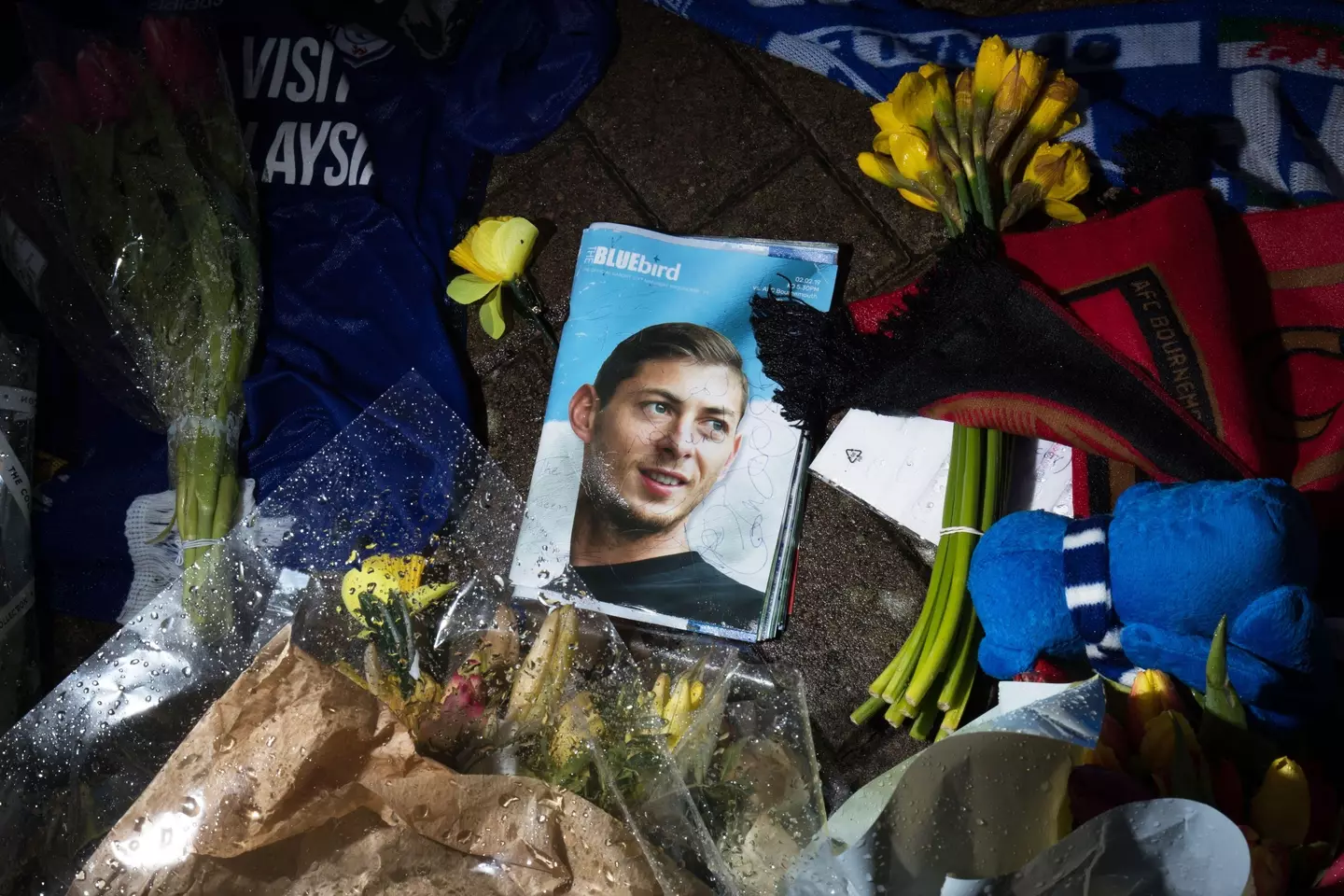 Sala died as a result of a plane crash, having been overcome by toxic levels of carbon monoxide during an unlicensed commercial flight, an inquest jury concluded. Image credit: Alamy