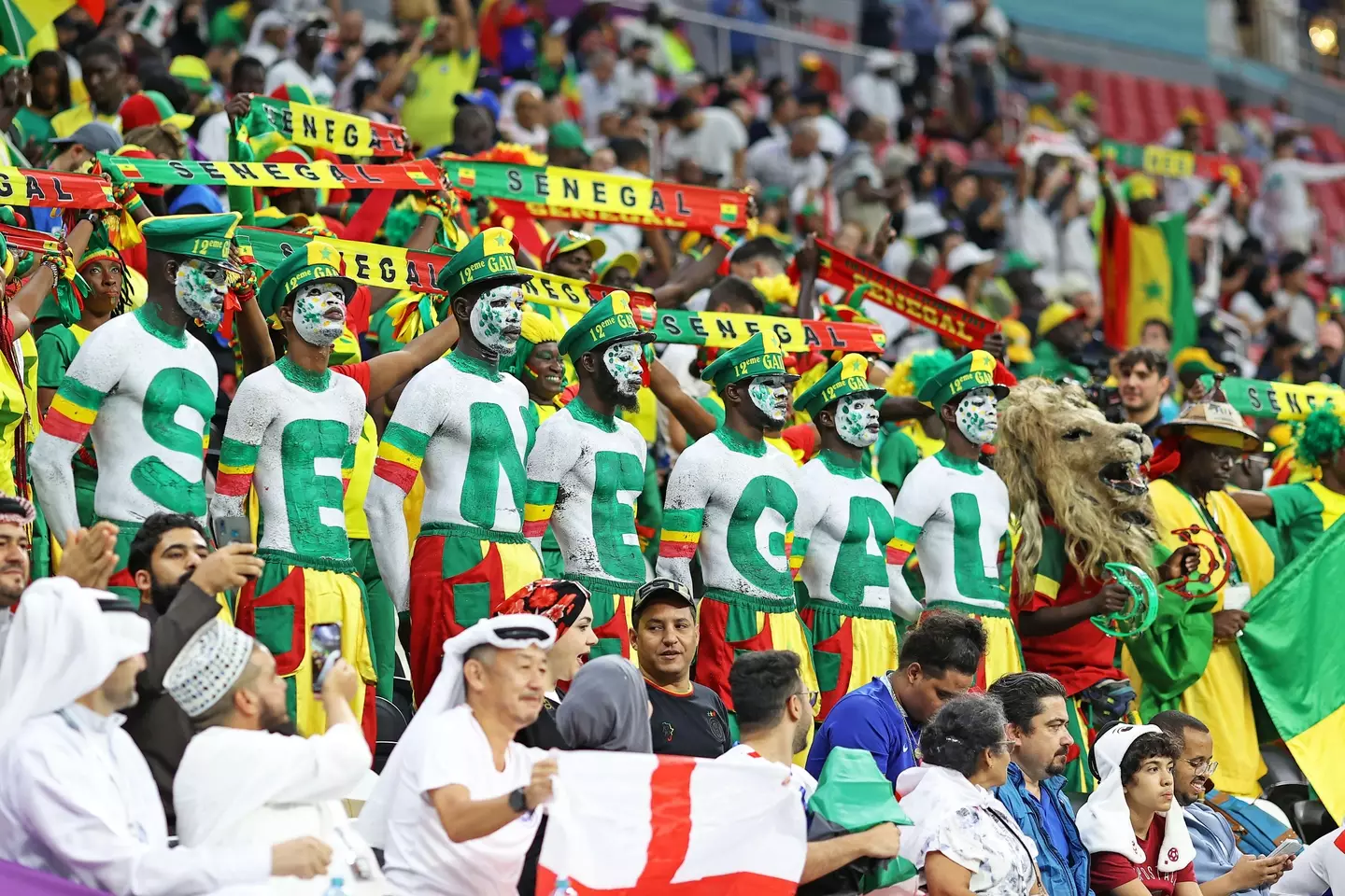 Senegal fans inside the Al Bayt Stadium. (Image