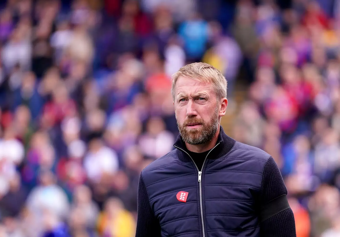 Graham Potter on the side-line against Crystal Palace. (Alamy)