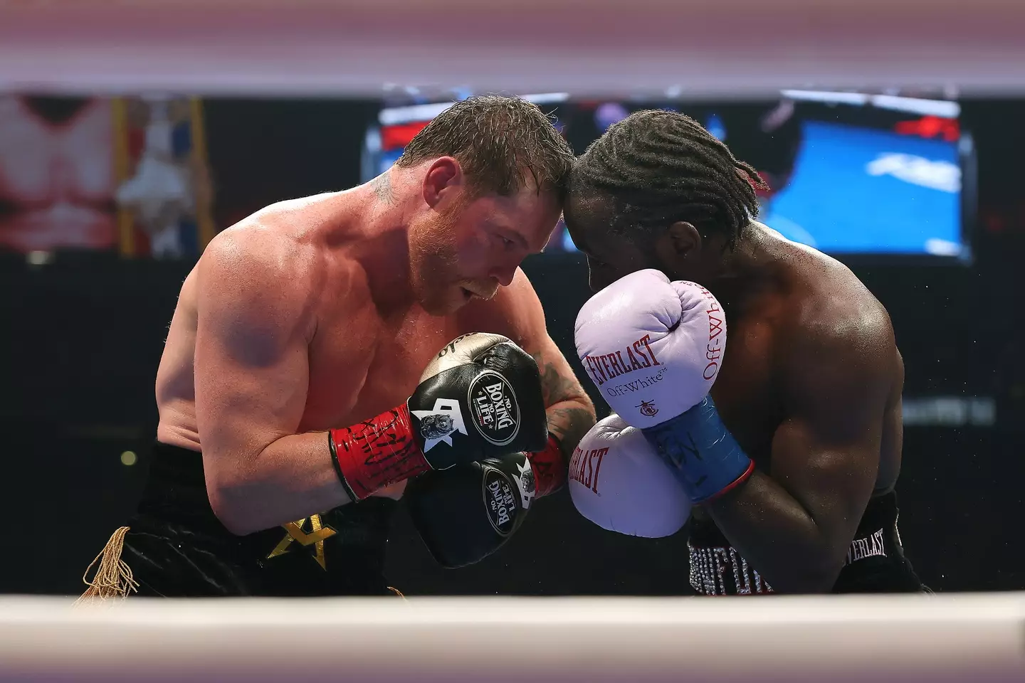 Canelo Alvarez was beaten by Terence Crawford. Image: Getty
