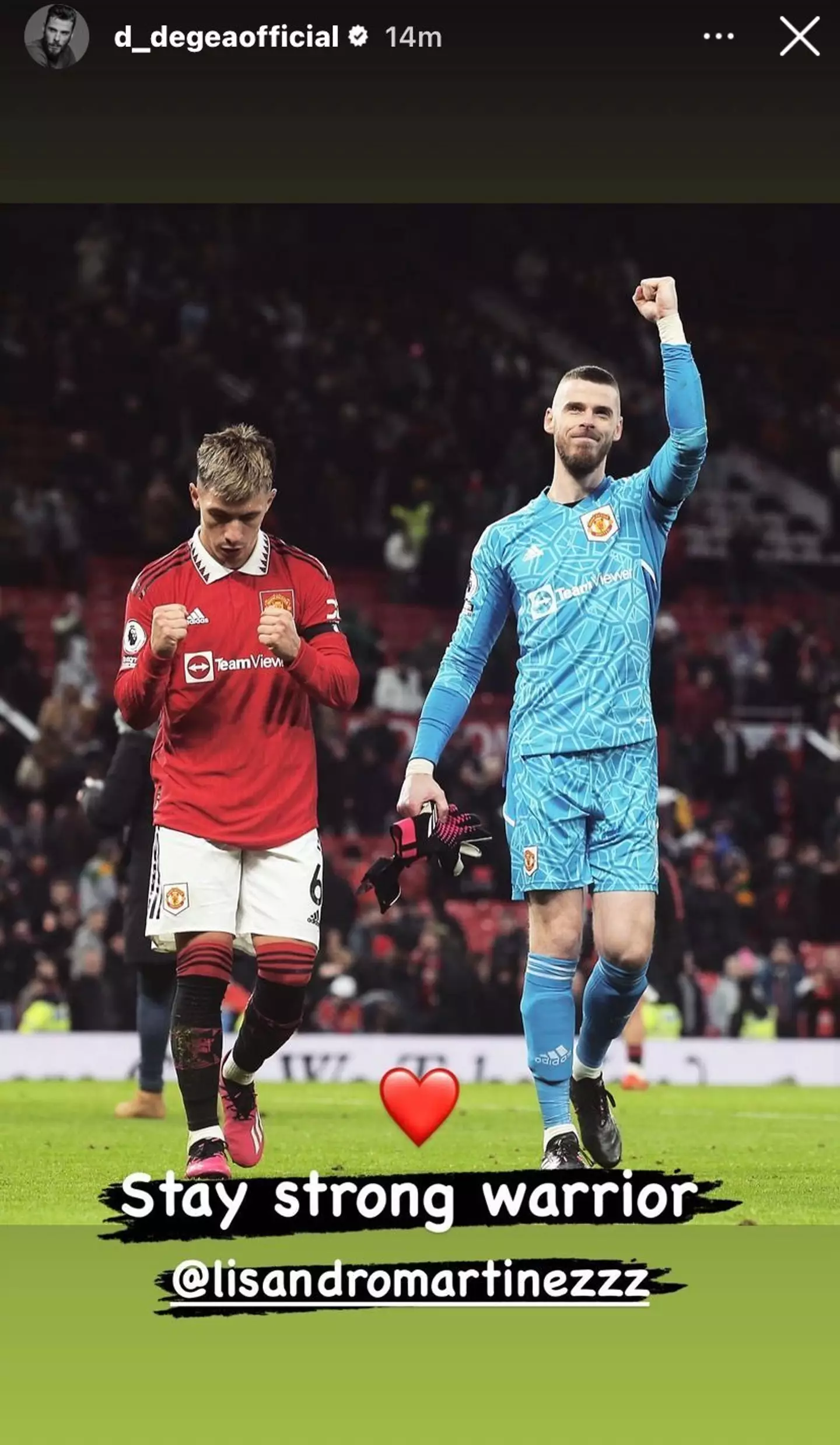 Image: Instagram/David de Gea