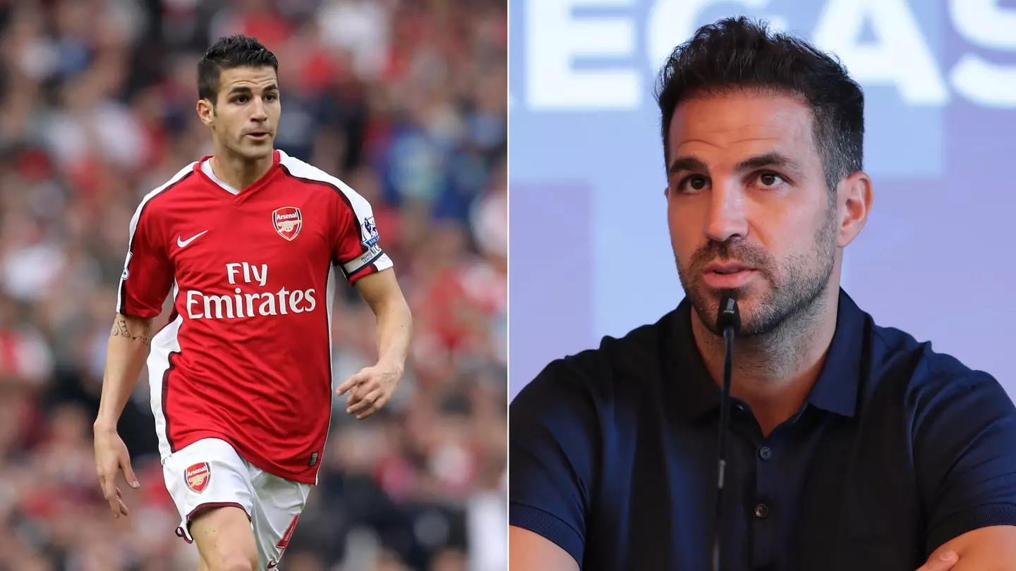 Cesc Fabregas names toughest-ever Premier League opponent who had 'everything in his locker'