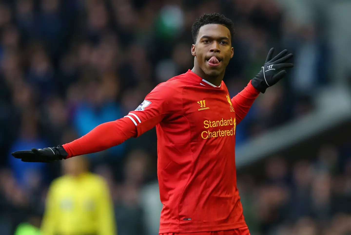 Sturridge scored 22 goals as Liverpool came close to winning their first league title since 1990. (Image