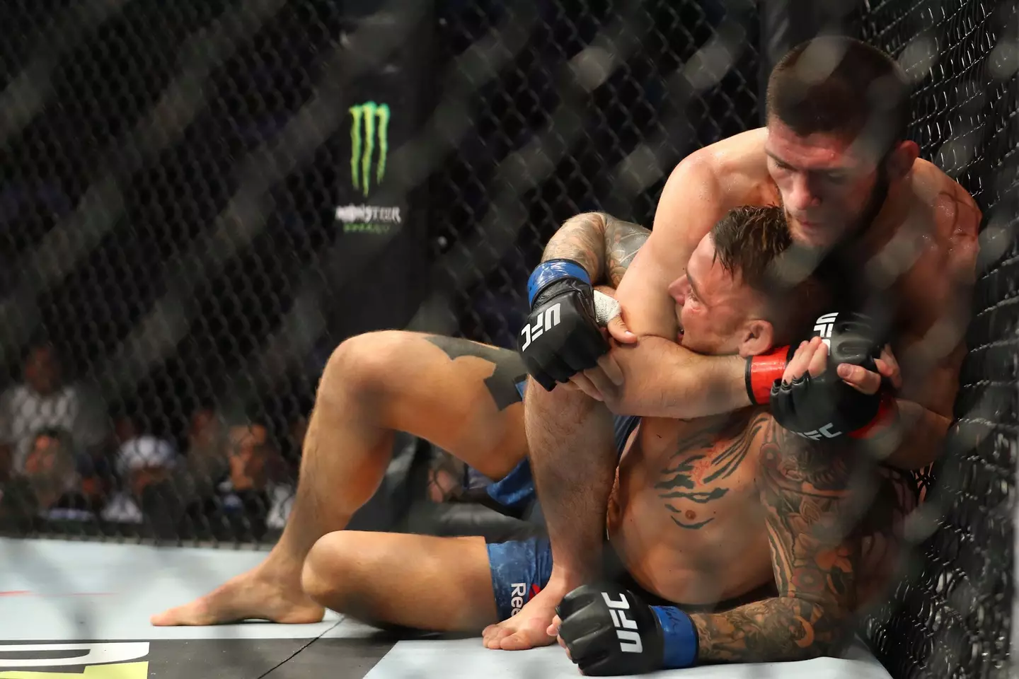 Khabib Nurmagomedov in action during his UFC career. Image: Alamy