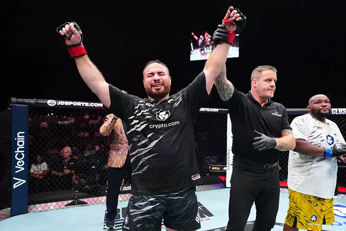 Hamdy Abdelwahab has been cut from the UFC despite his recent win. (Photo by Chris Unger/Zuffa LLC)