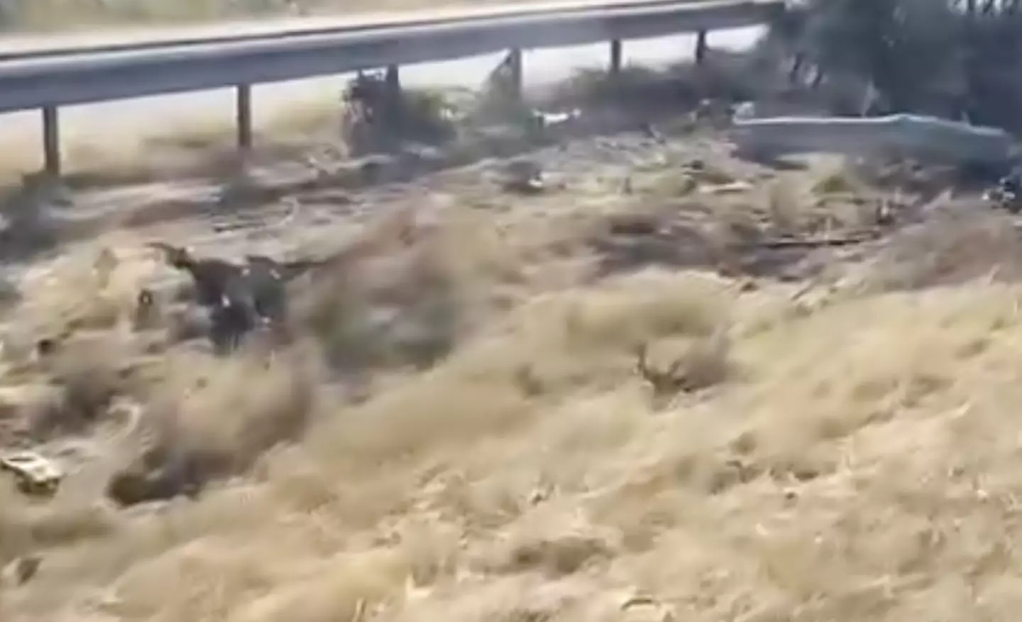 Image: El Mundo Diario del Castilla y Leon