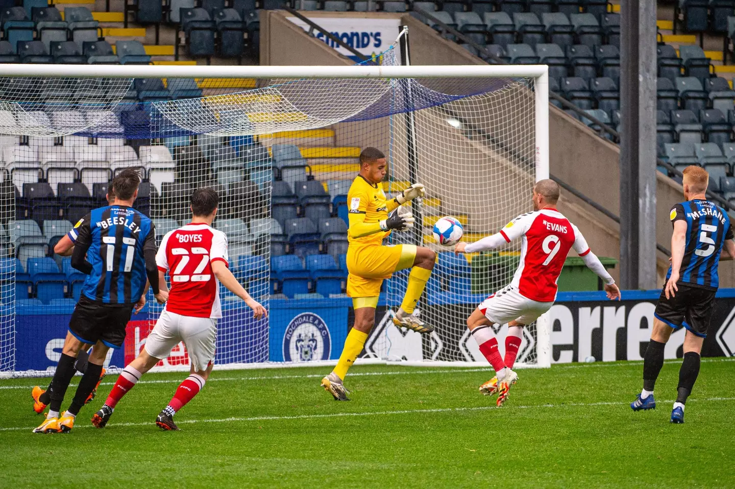 Gavin Bazunu is on the verge of joining Southampton (MI News & Sport / Alamy)