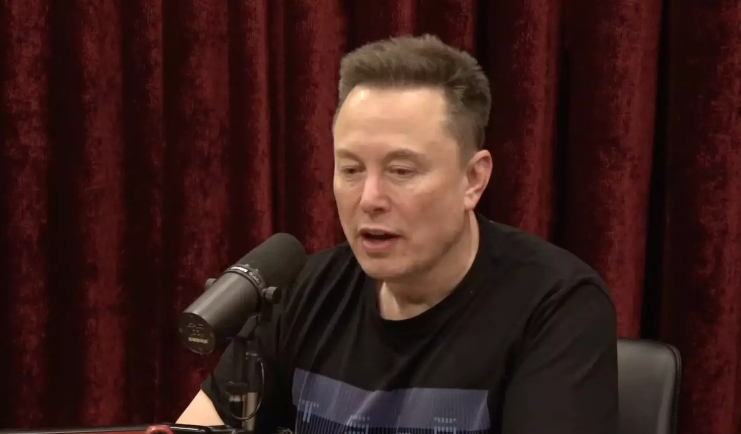 Musk appeared on the Joe Rogan Experience (Image: YouTube/JRE)