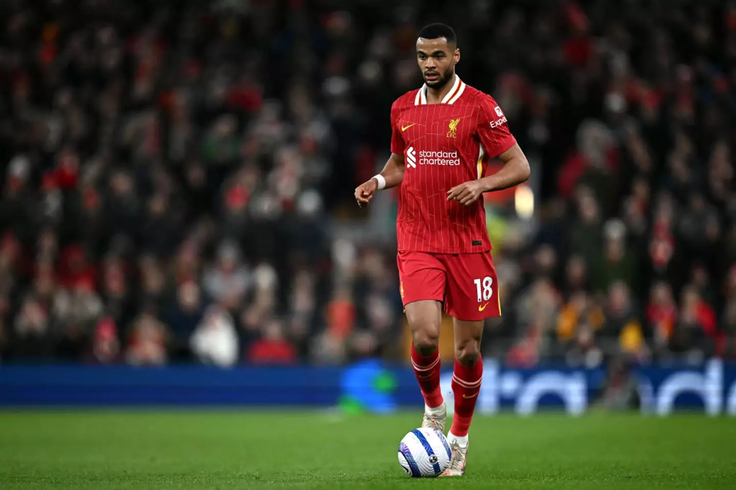 Cody Gakpo has been a key player for Arne Slot's Liverpool side. (Image: Getty)