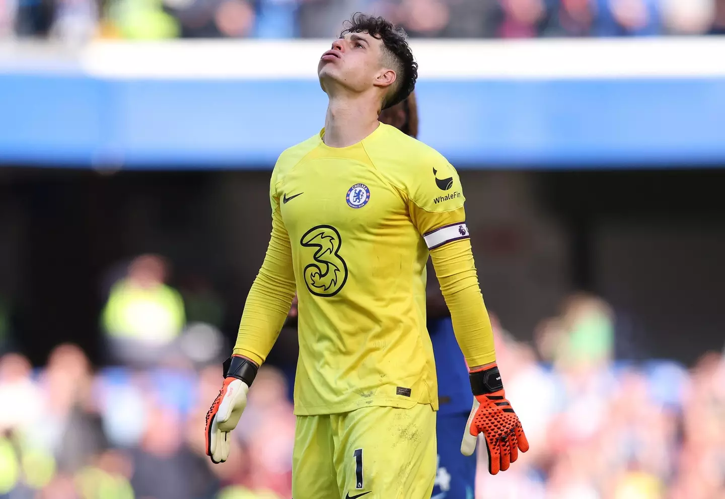 Kepa Arrizabalaga cuts a frustrated figure during Chelsea vs. Brighton. Image: Alamy