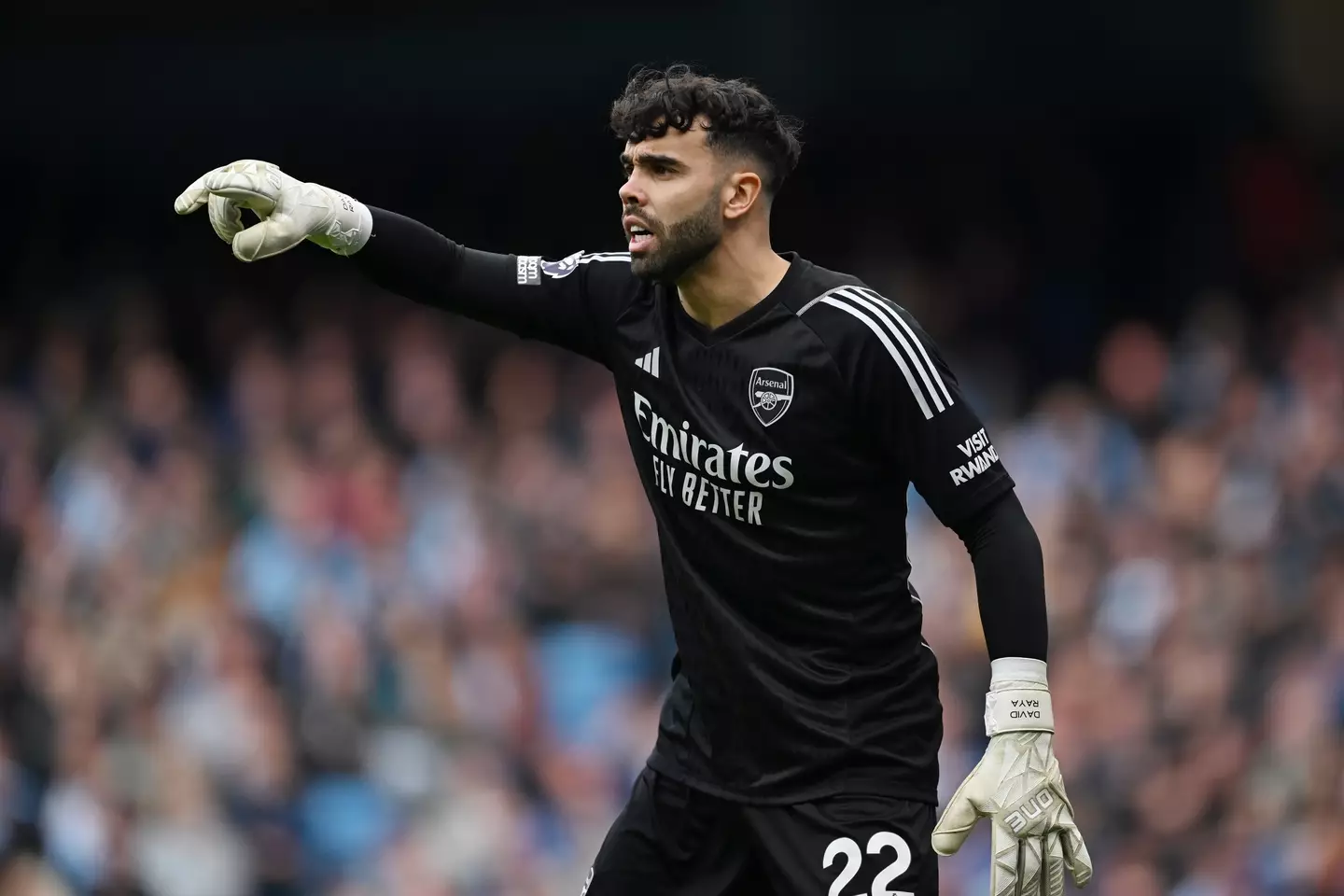 David Raya in action against Manchester City. Image: Getty