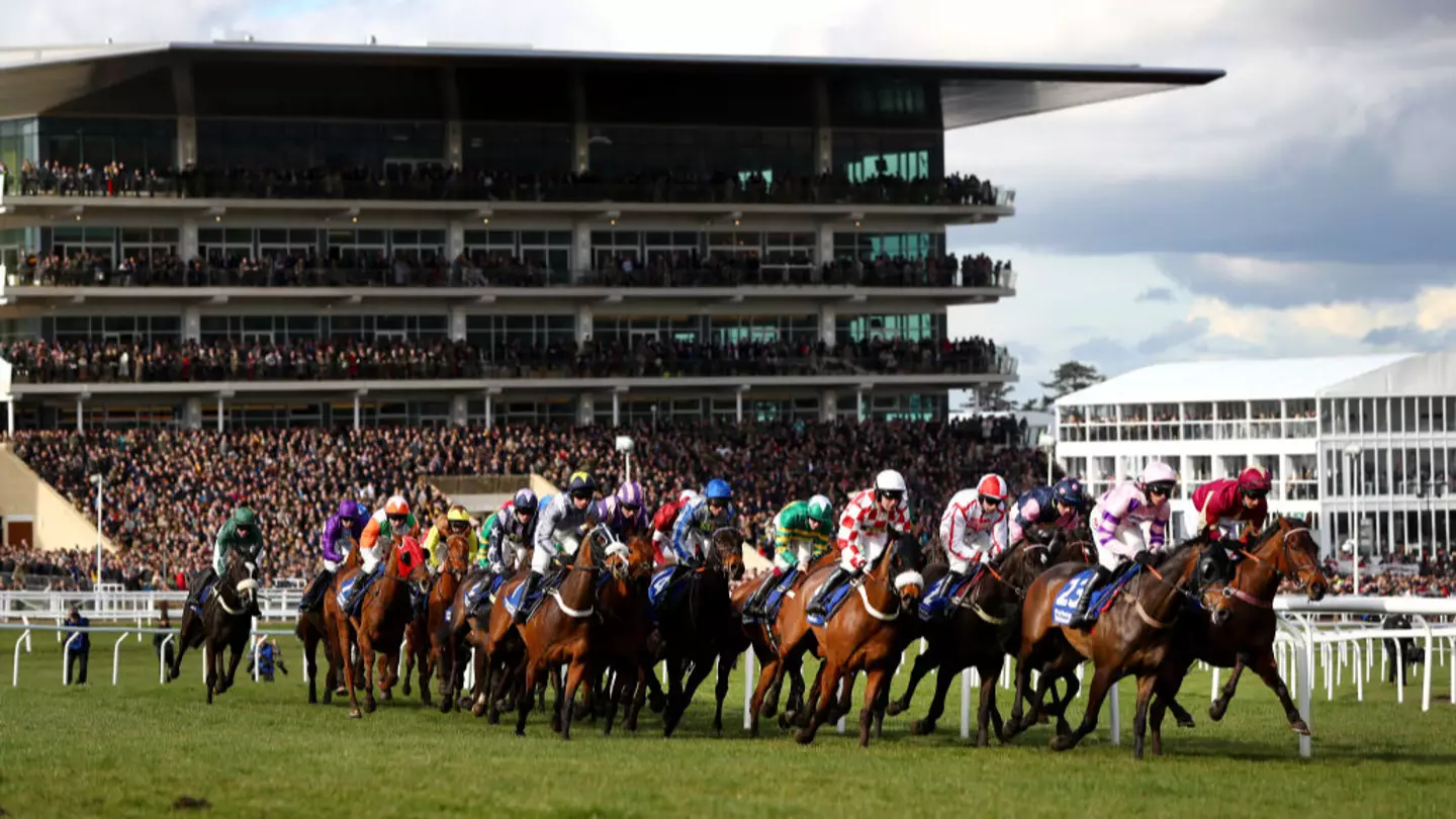 Cheltenham Festival Club Enclosure and Hospitality tickets are still up for sale for less than you think